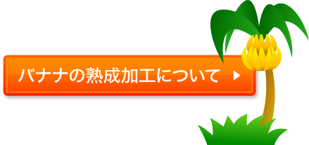 バナナの熟成加工について